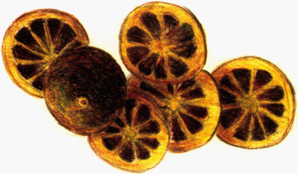 枳實